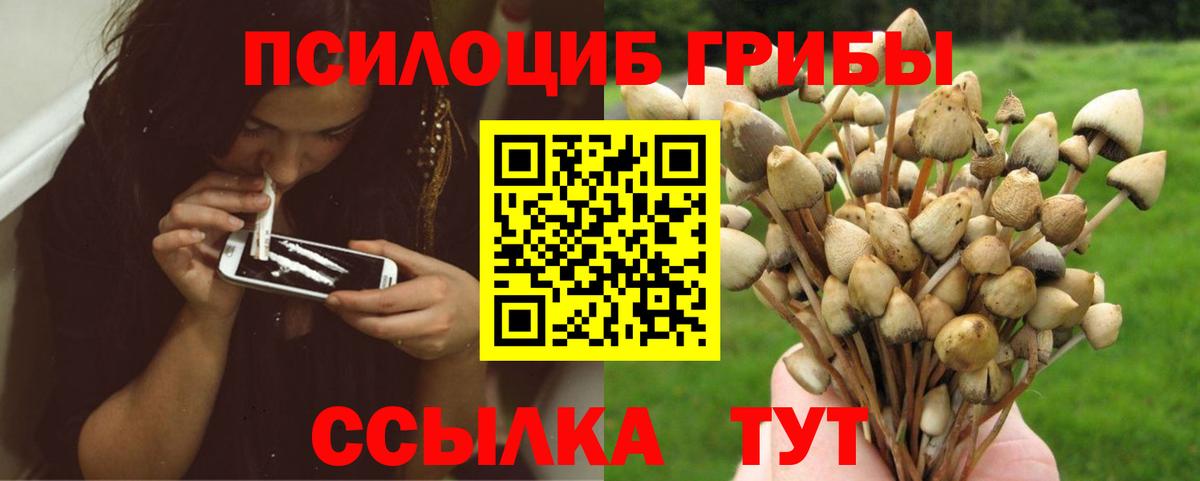 Галлюциногенные грибы Psilocybine cubensis  Вход с VPN  Тимашёвск  Галлюциногенные грибы Magic Shrooms 